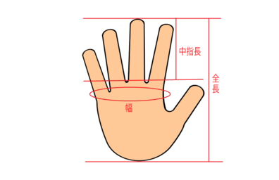 手の目安